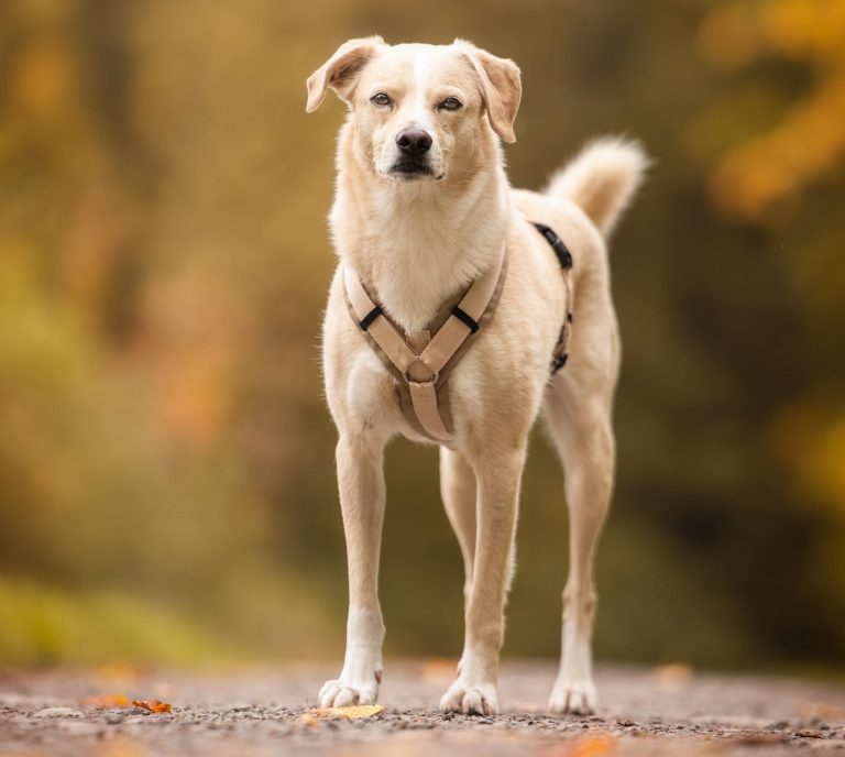 Individuelles Einzeltraining in Bietigheim-Bissingen