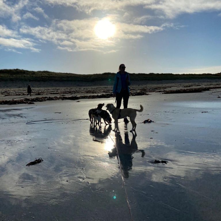 Social Walks in Bietigheim-Bissingen